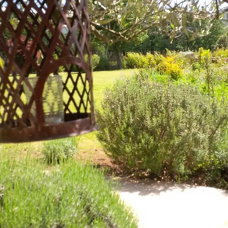 Nulle Part Ailleurs Bed and Breakfast
